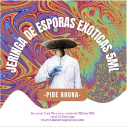 Jeringas de esporas 5ml exóticas