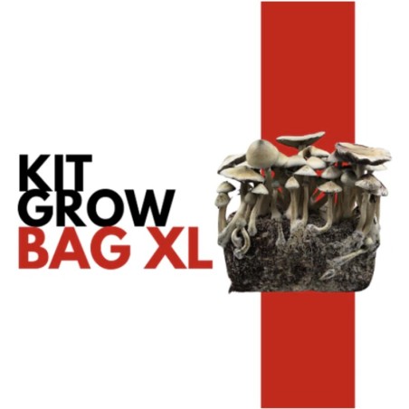 GrowBag Kit XL + Placa de calor