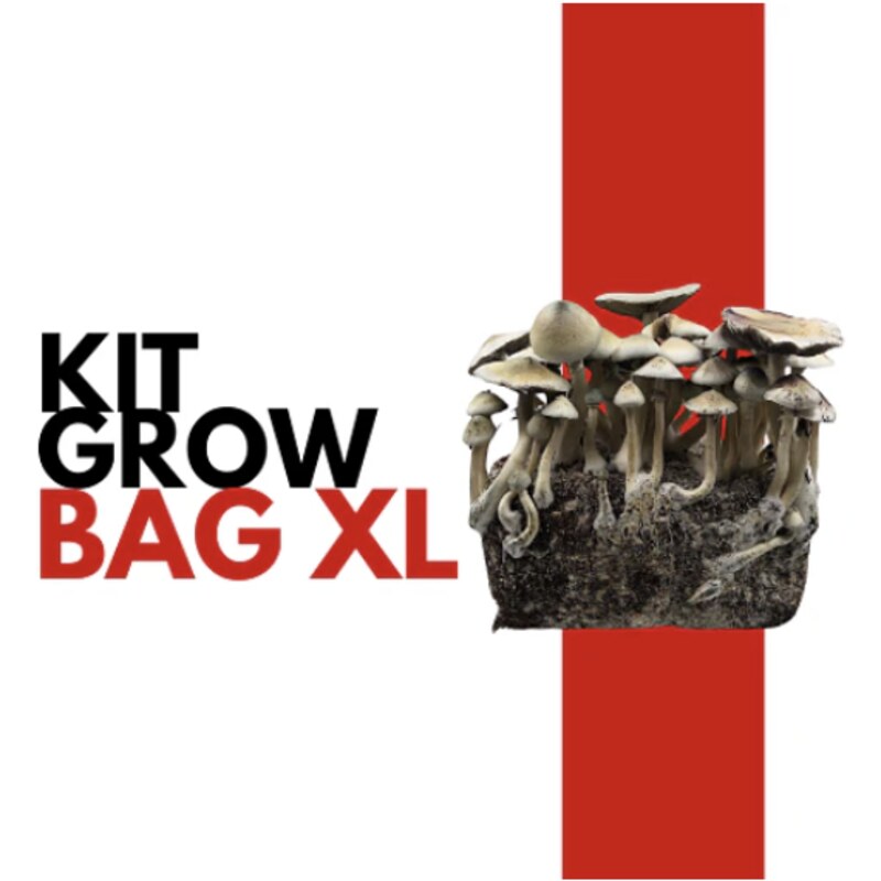 Kit de cultivo